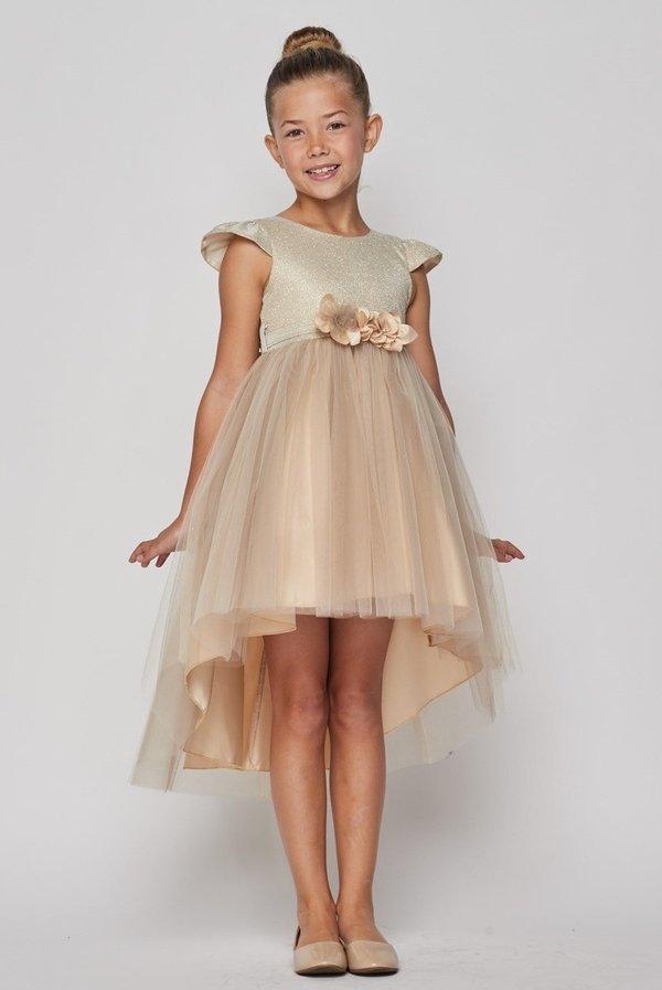 High Low Flower Girl Glitter Dress