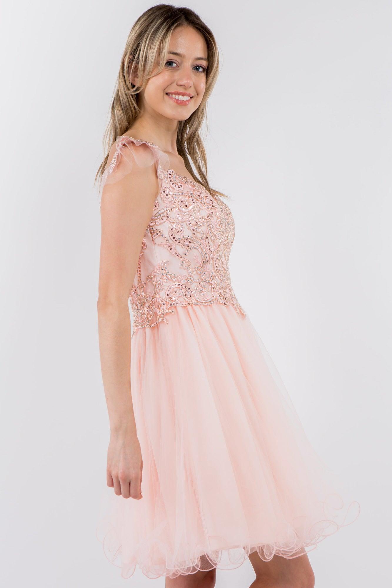 Embroidered Ruffle Short Homecoming Dress