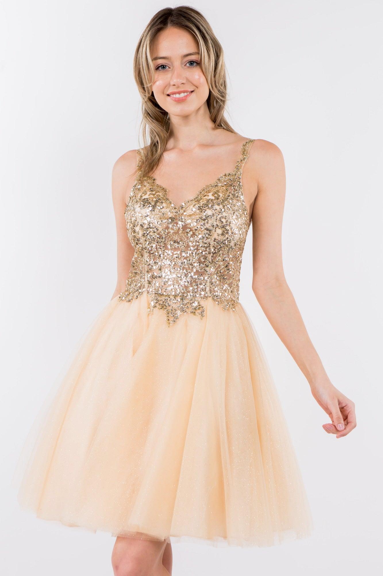 Sheer Bodice Short Homecoming Dress