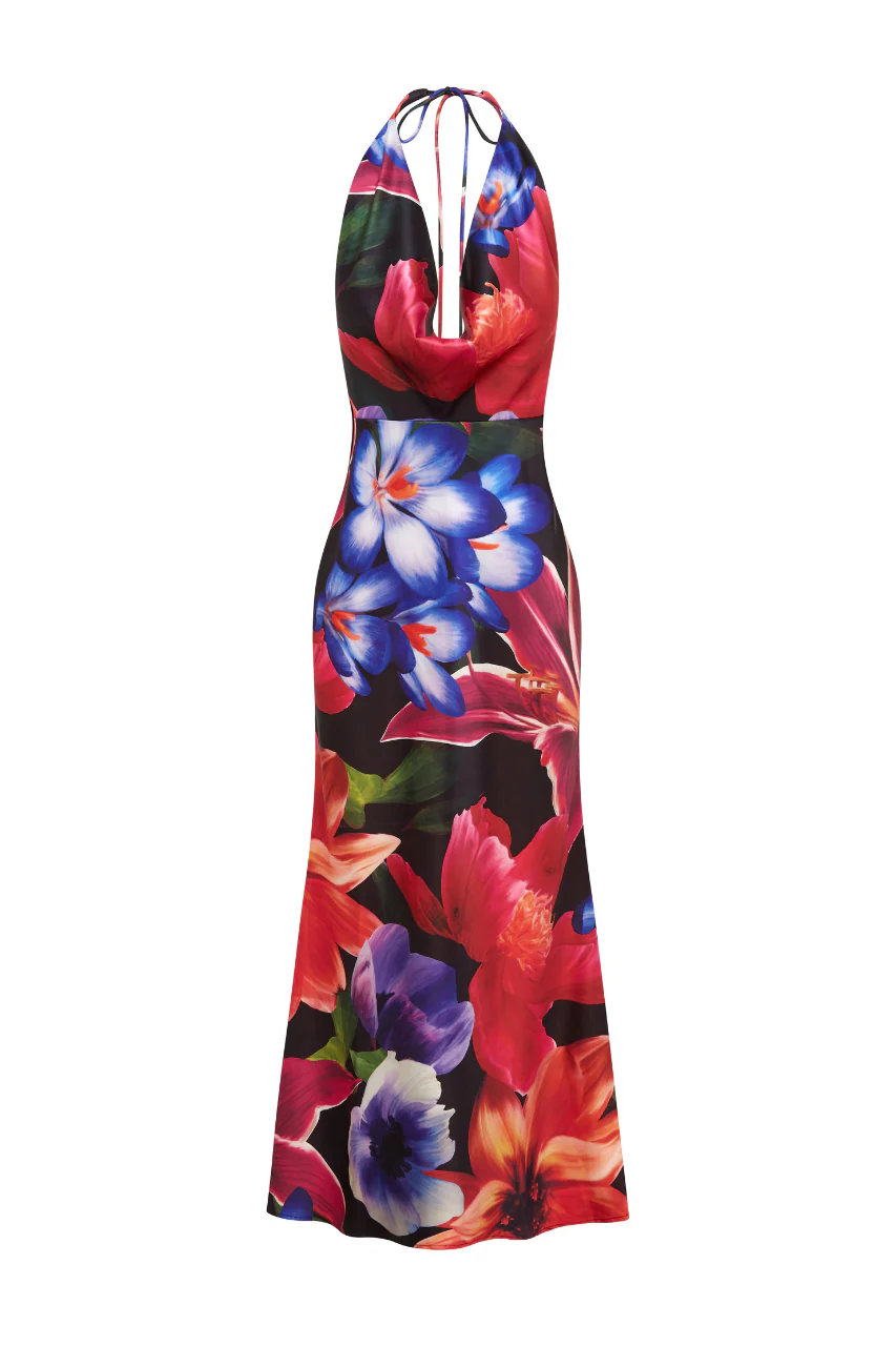 POSEY MAXI DRESS - MAEVE PRINT