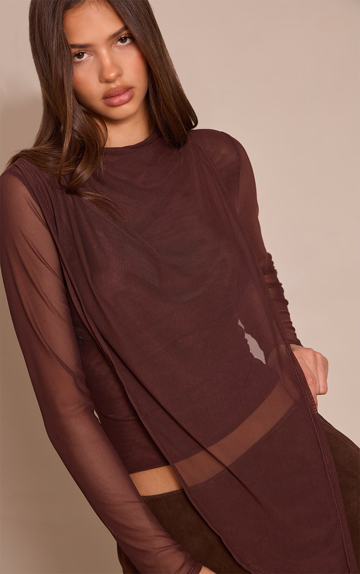 Dark Chocolate High Neck Mesh Drapey Long Sleeve Top
