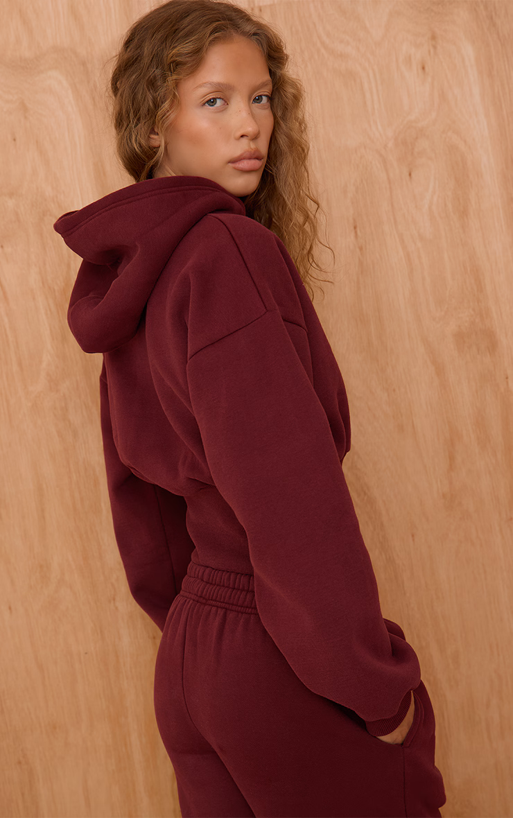 PLT Wine Tab Cinched Waist Crop Hoodie
