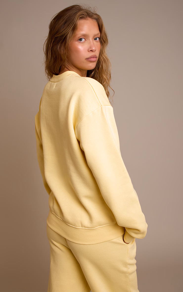 Buttercream Oversized Boston Usa Embroidered Sweatshirt