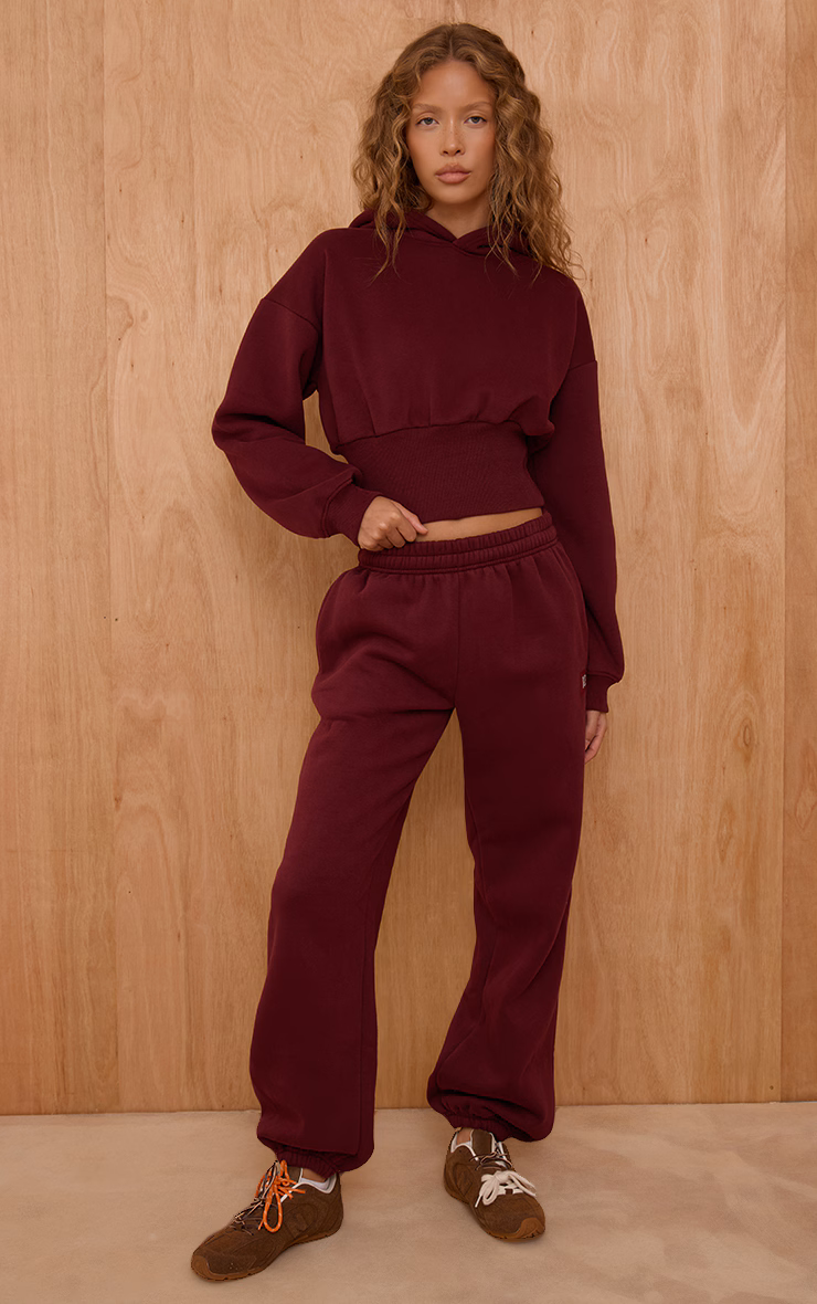 PLT Wine Tab Cinched Waist Crop Hoodie
