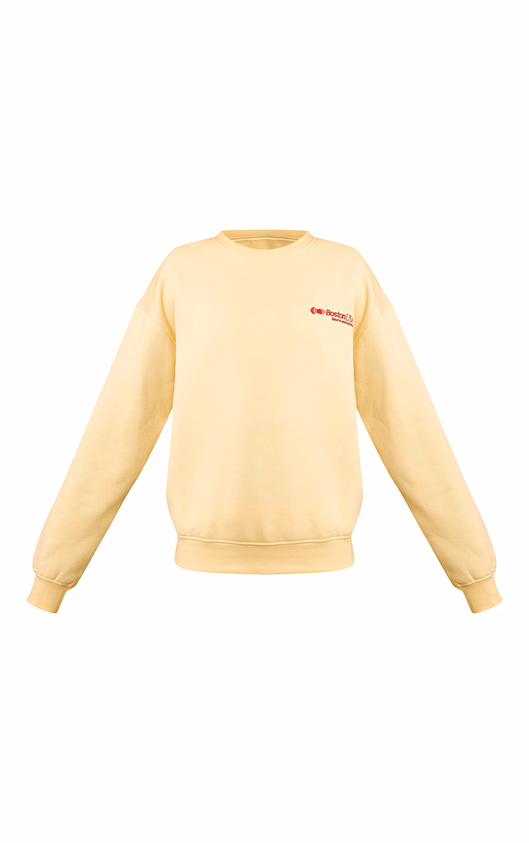 Buttercream Oversized Boston Usa Embroidered Sweatshirt