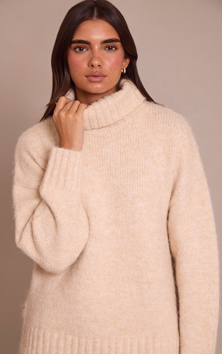 Stone Roll Neck Balloon Sleeve Oversized Sweater
