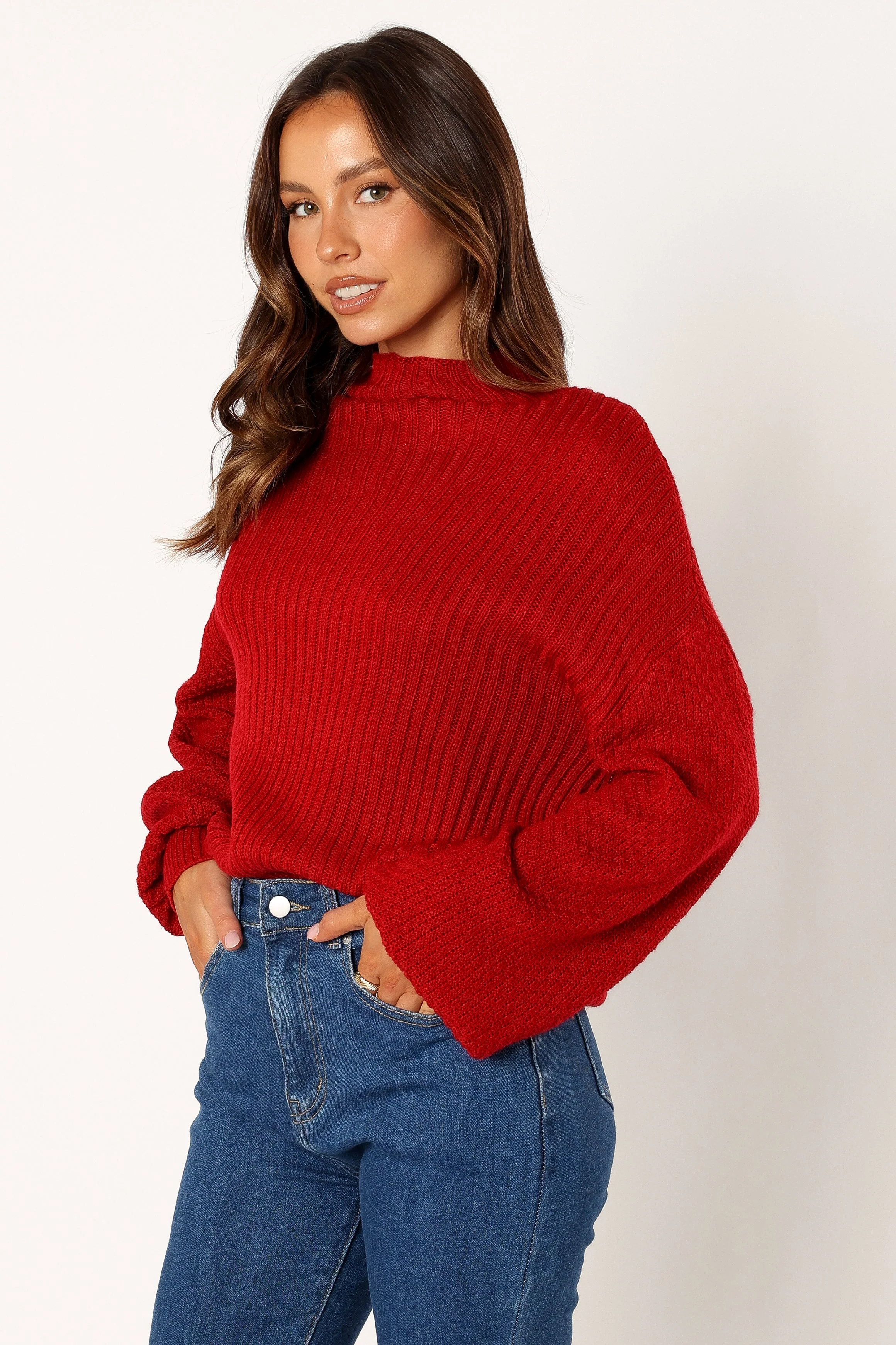 Lorelei Textured Sleeve Knit Sweater - Red