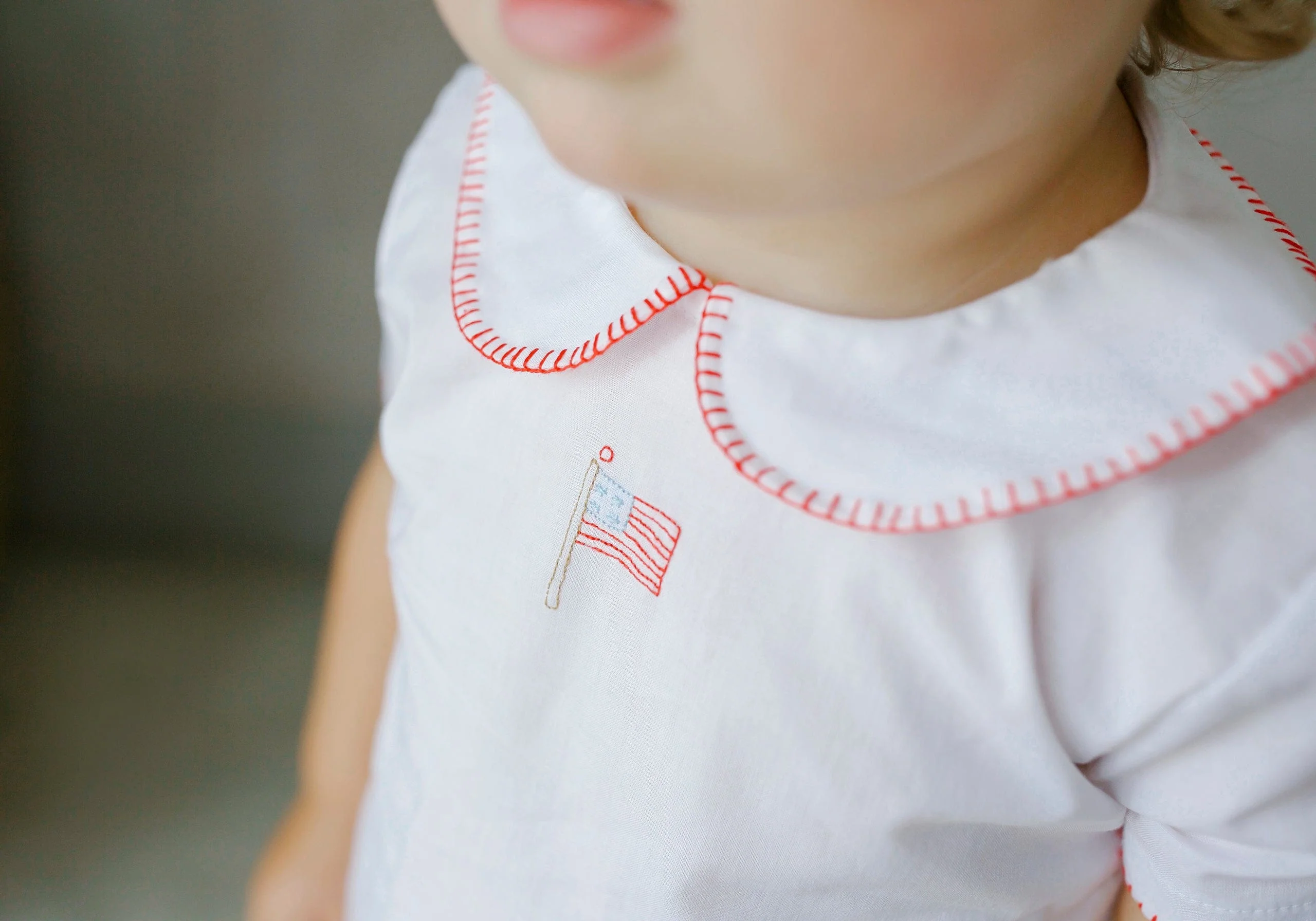 Whipstitch Day Shirt - Flag