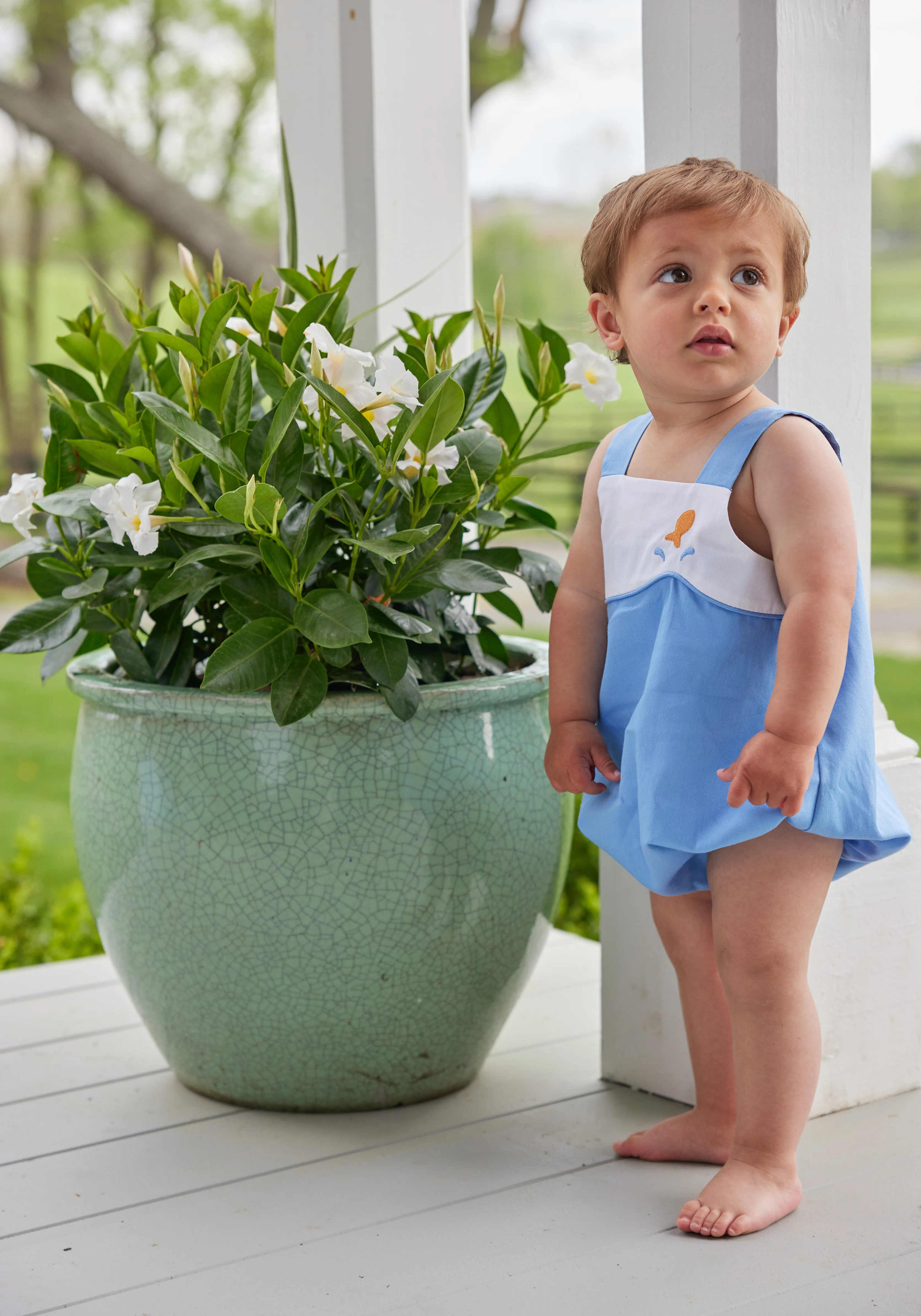 Sheldon Bubble - Goldfish