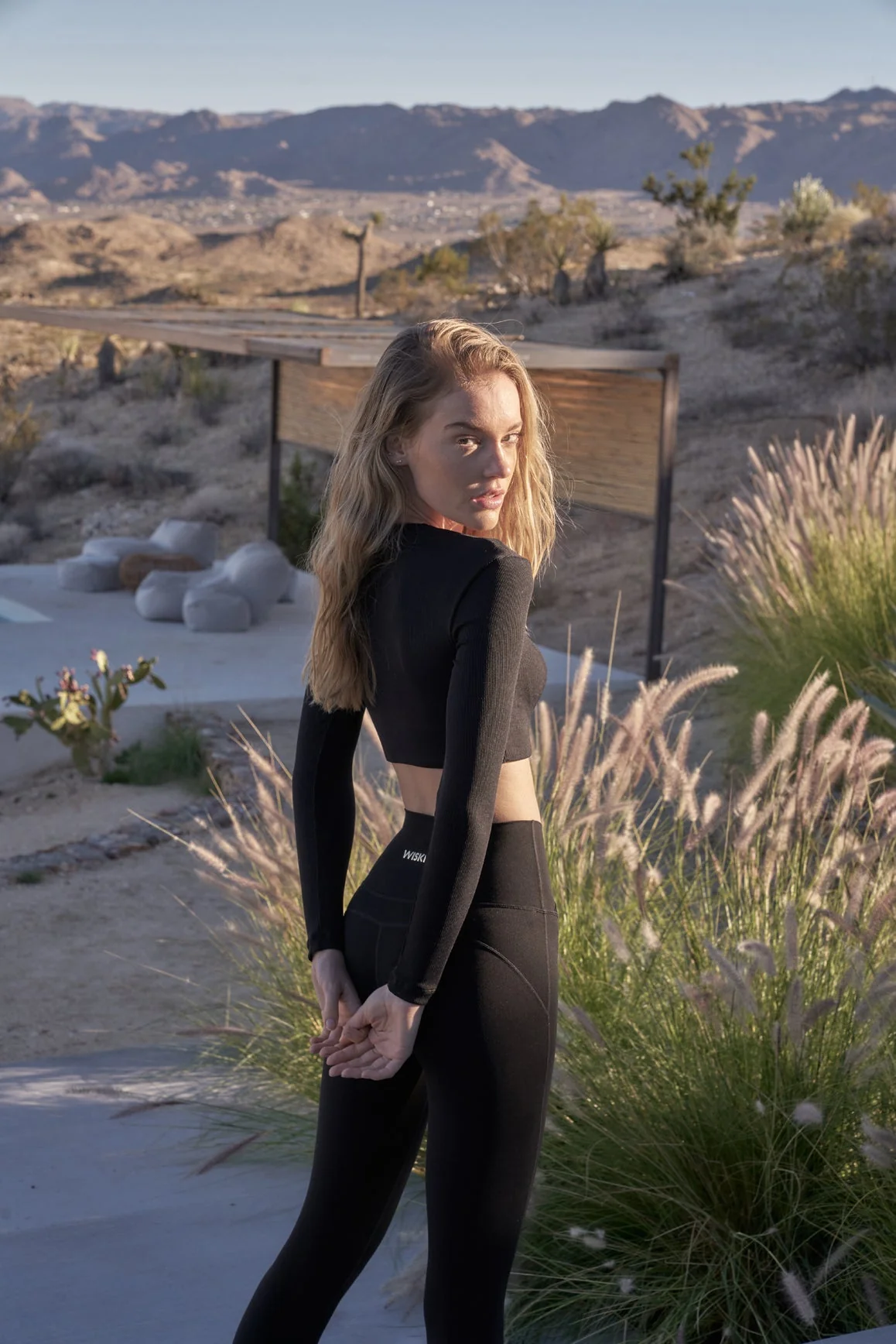 Elegant Long Sleeve Crop Top + V-waist Yoga Legging