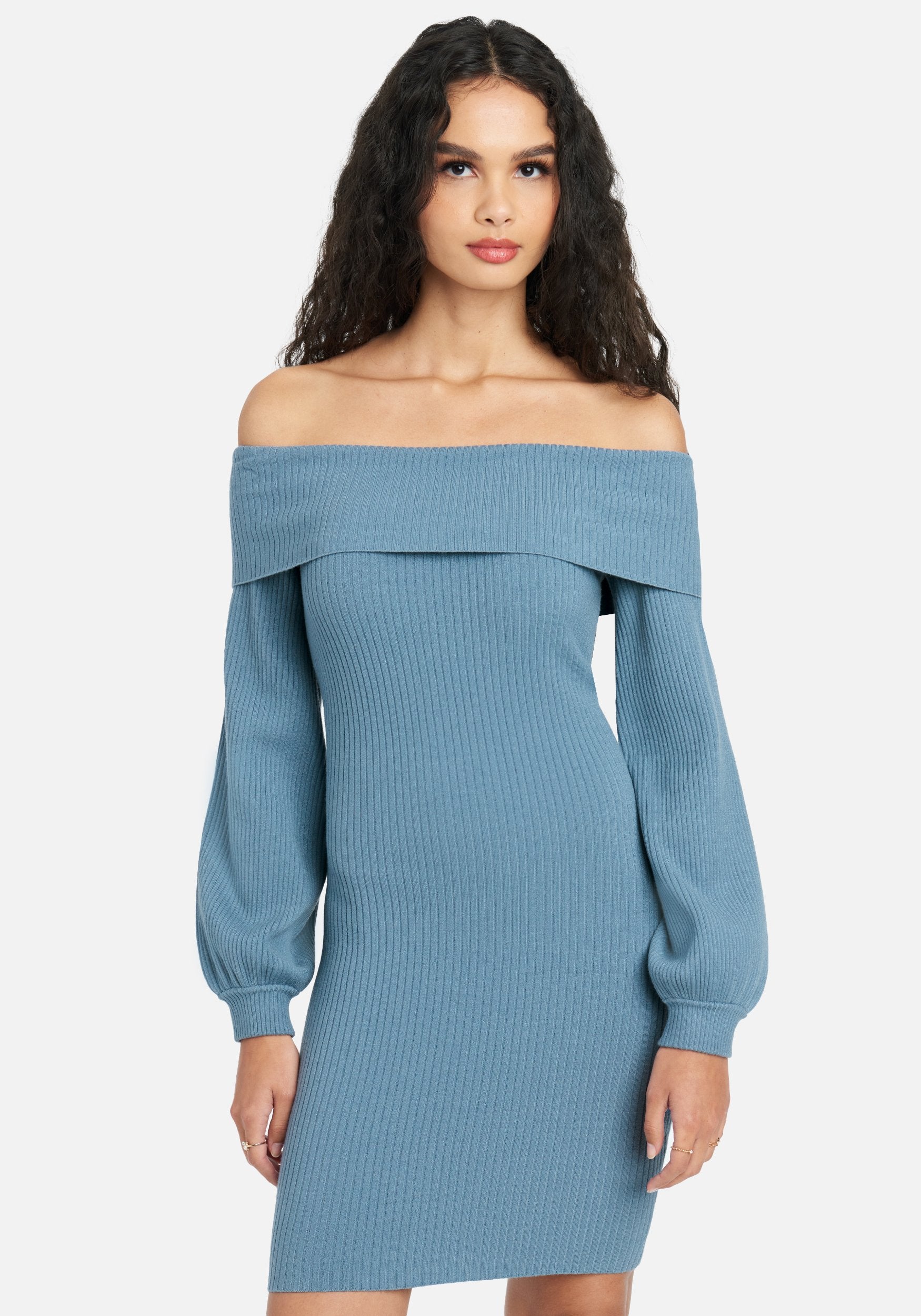 Overlay Balloon Sleeve Knit Dress