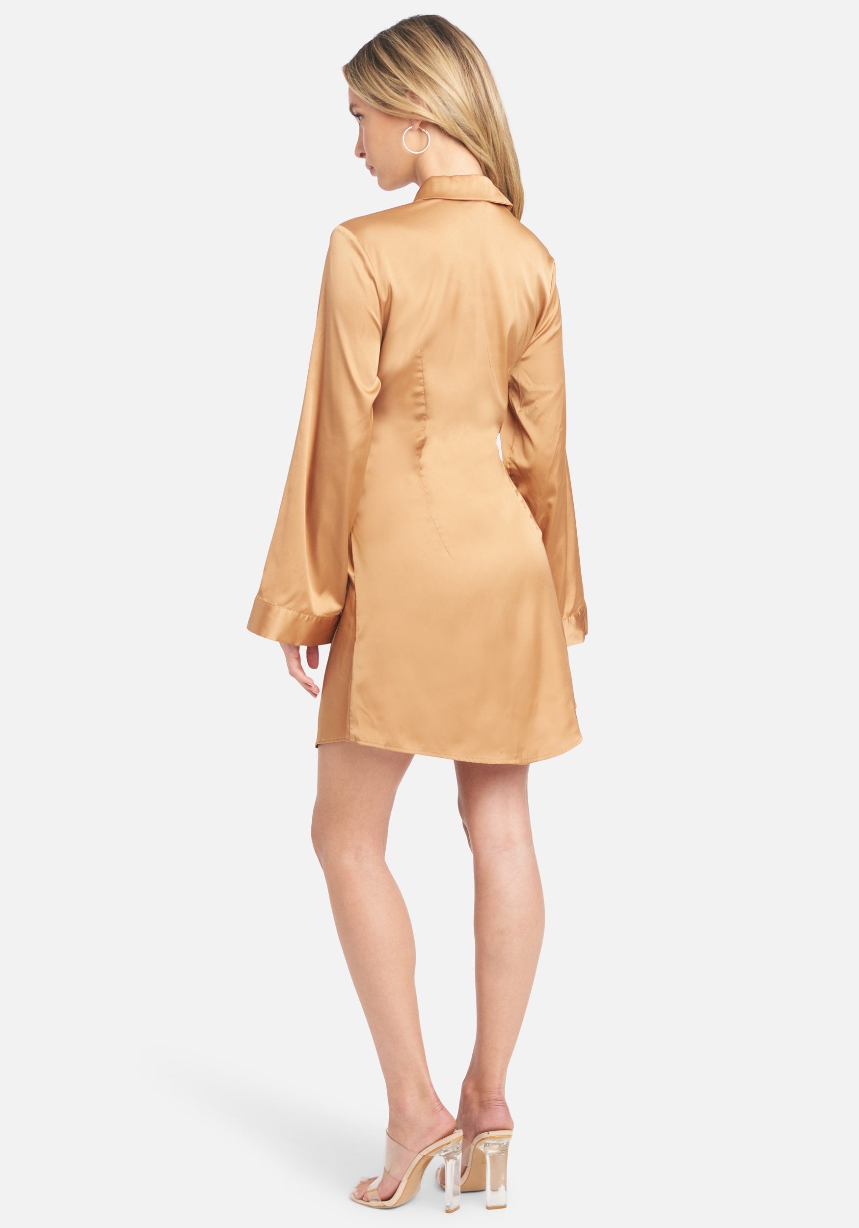 Charmeuse Shirt Dress