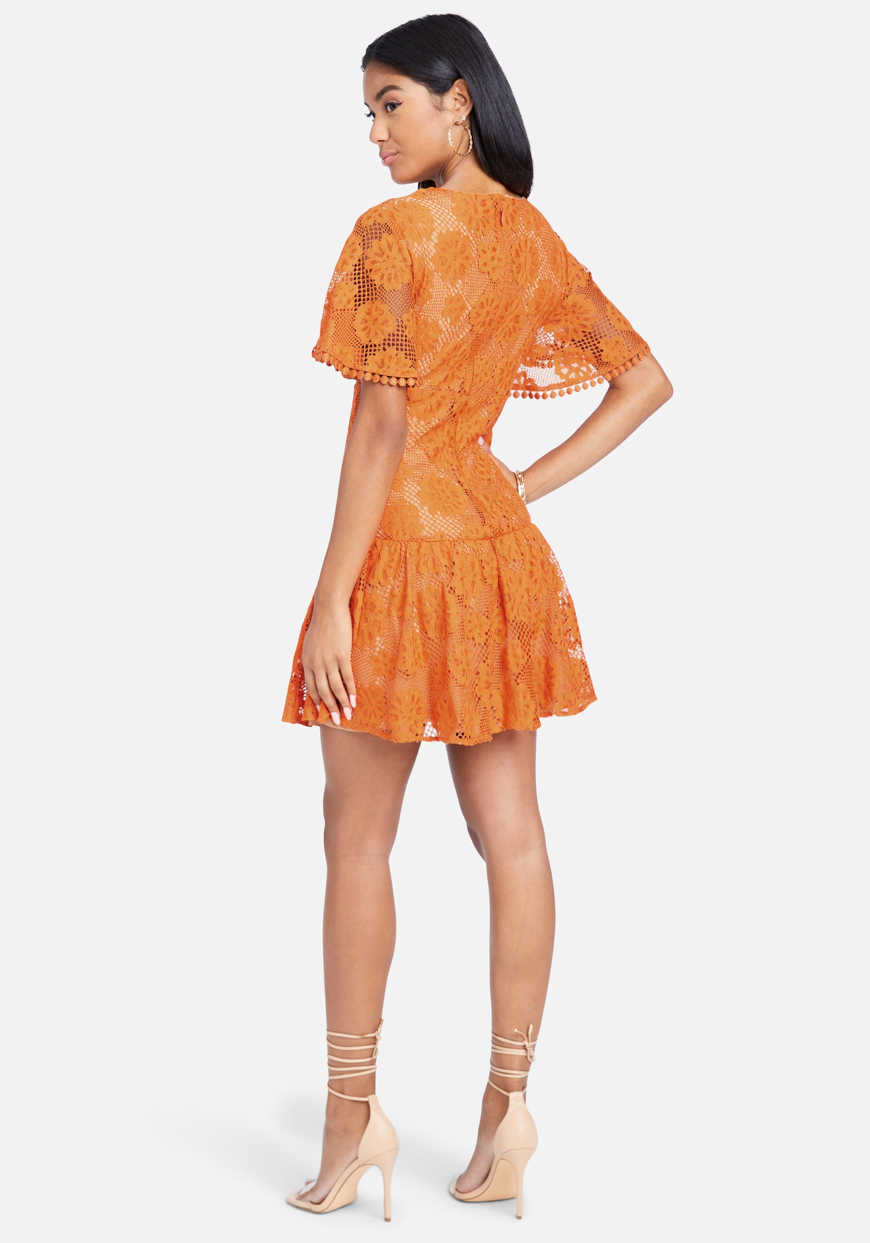 Embroidered Flutter Fit And Flare Dress