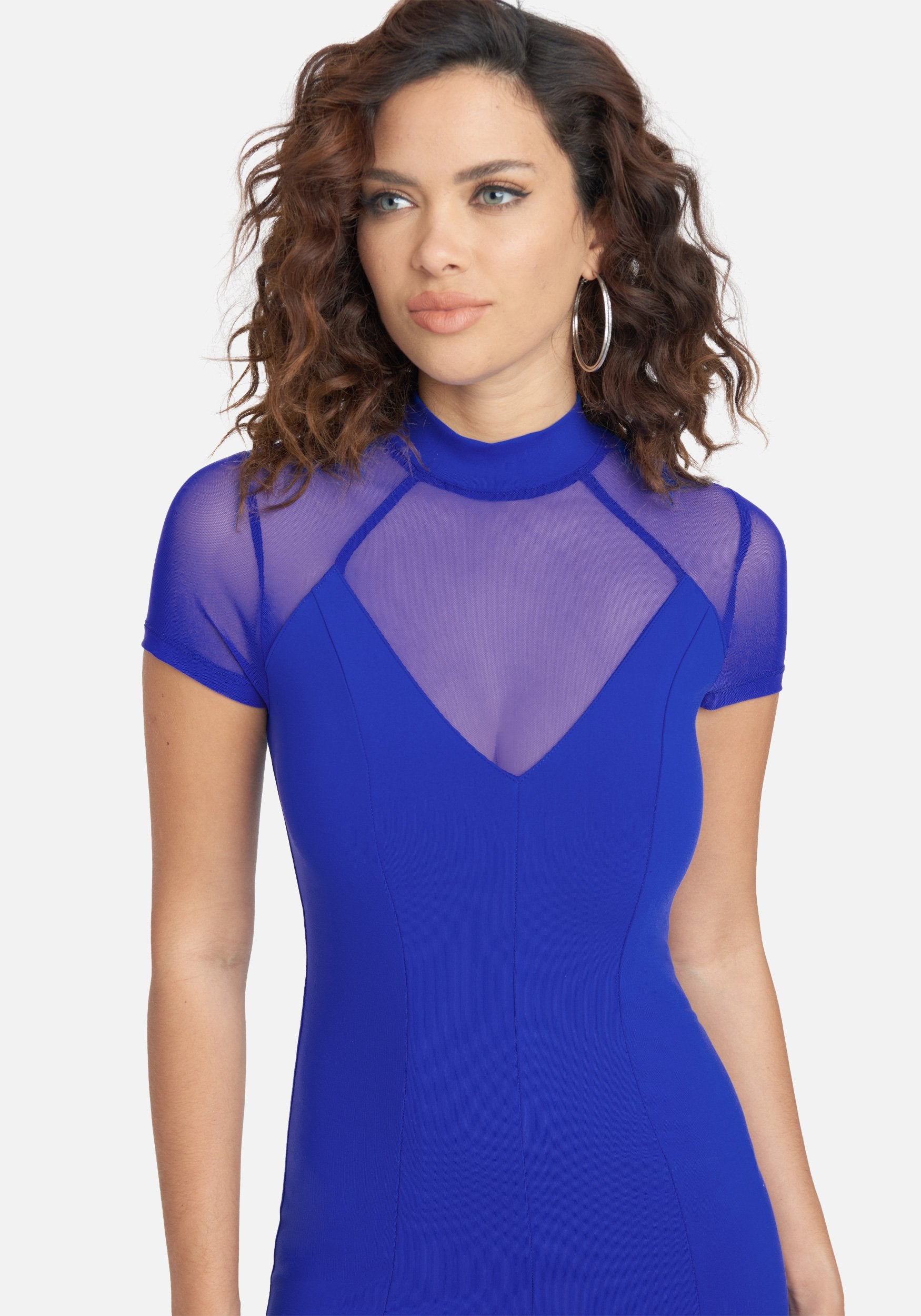 Mesh Short Sleeve Dress