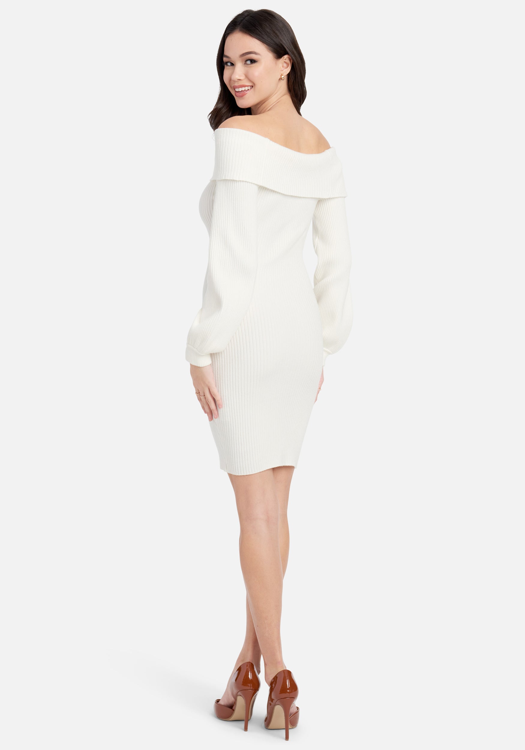 Overlay Balloon Sleeve Knit Dress