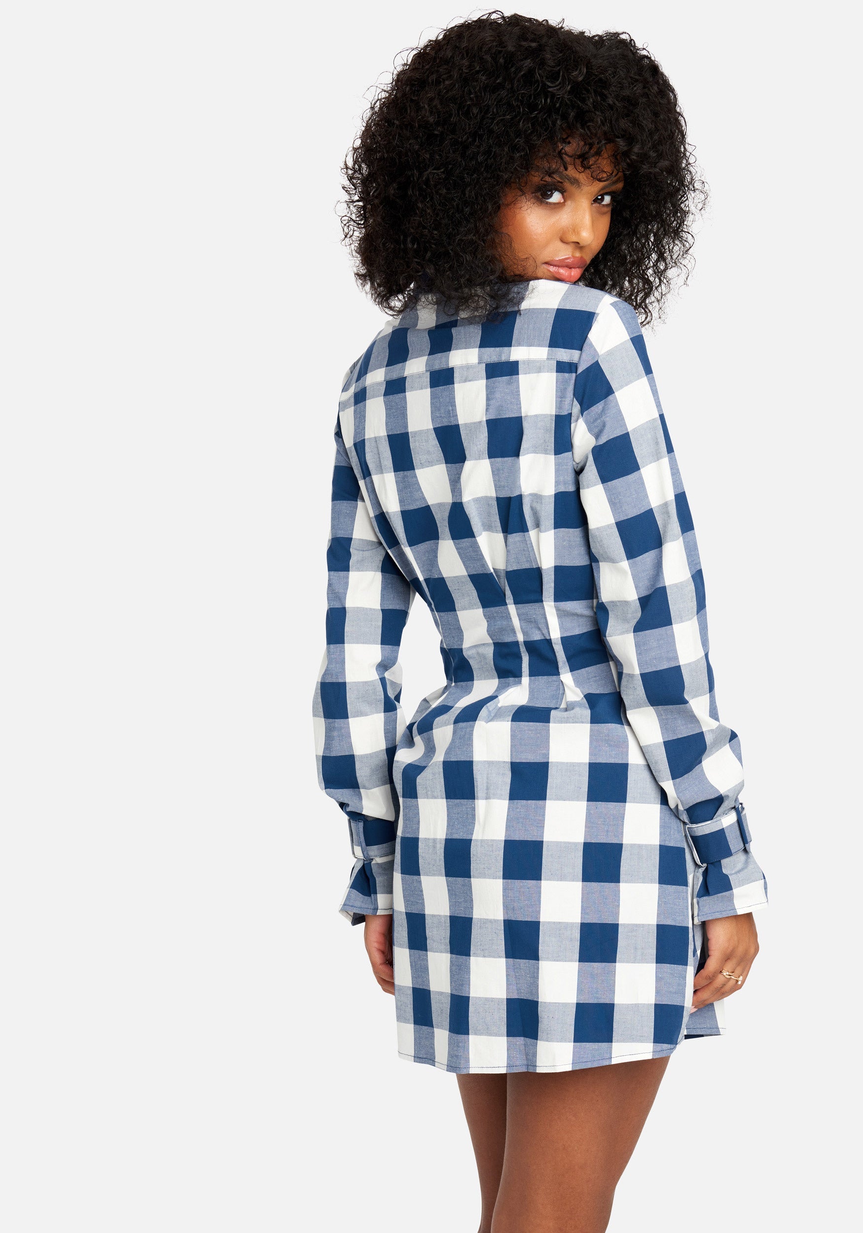 Printed Check Poplin Shirt Dress