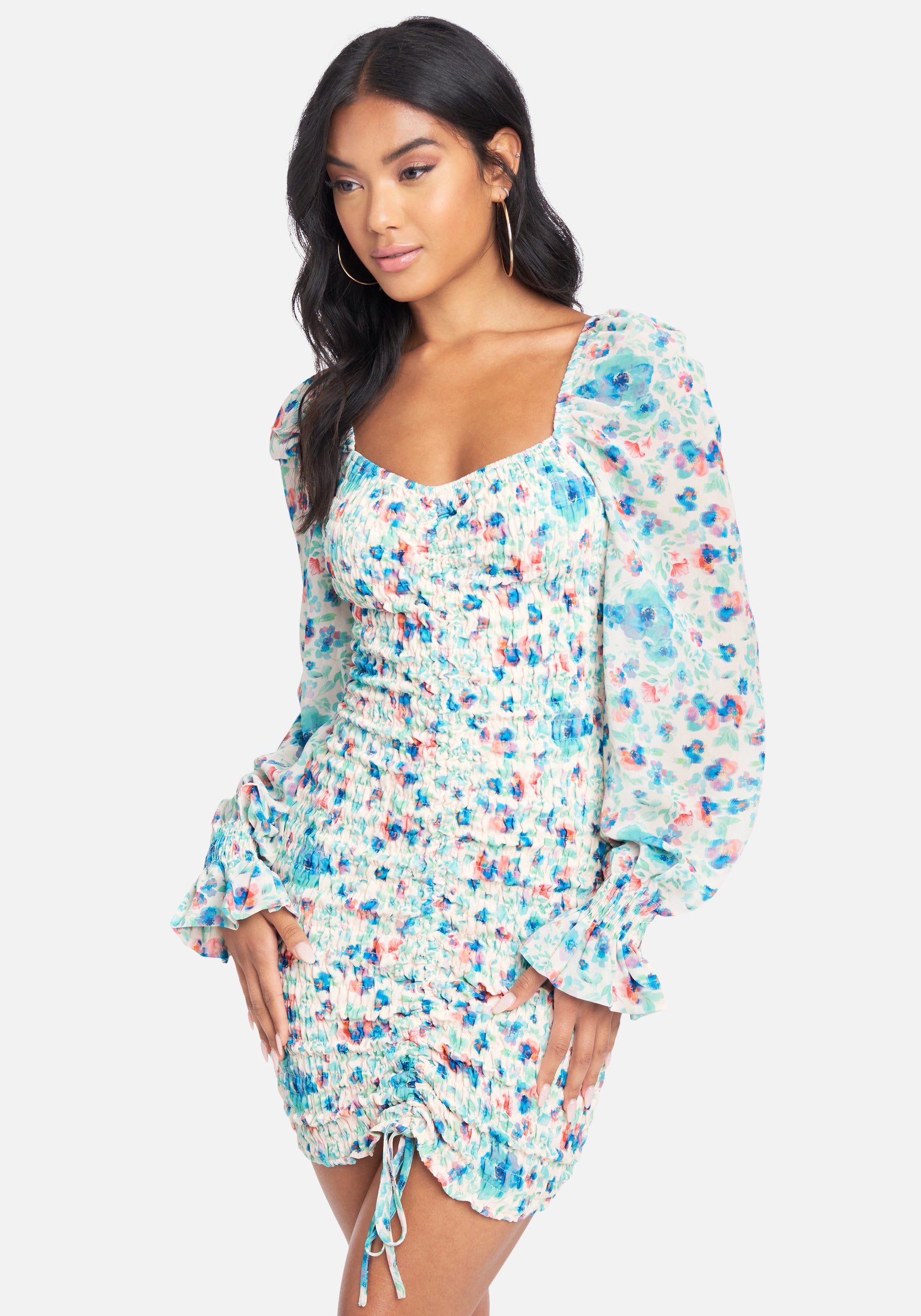Puff Sleeve Smocked Printed Chiffon Dress