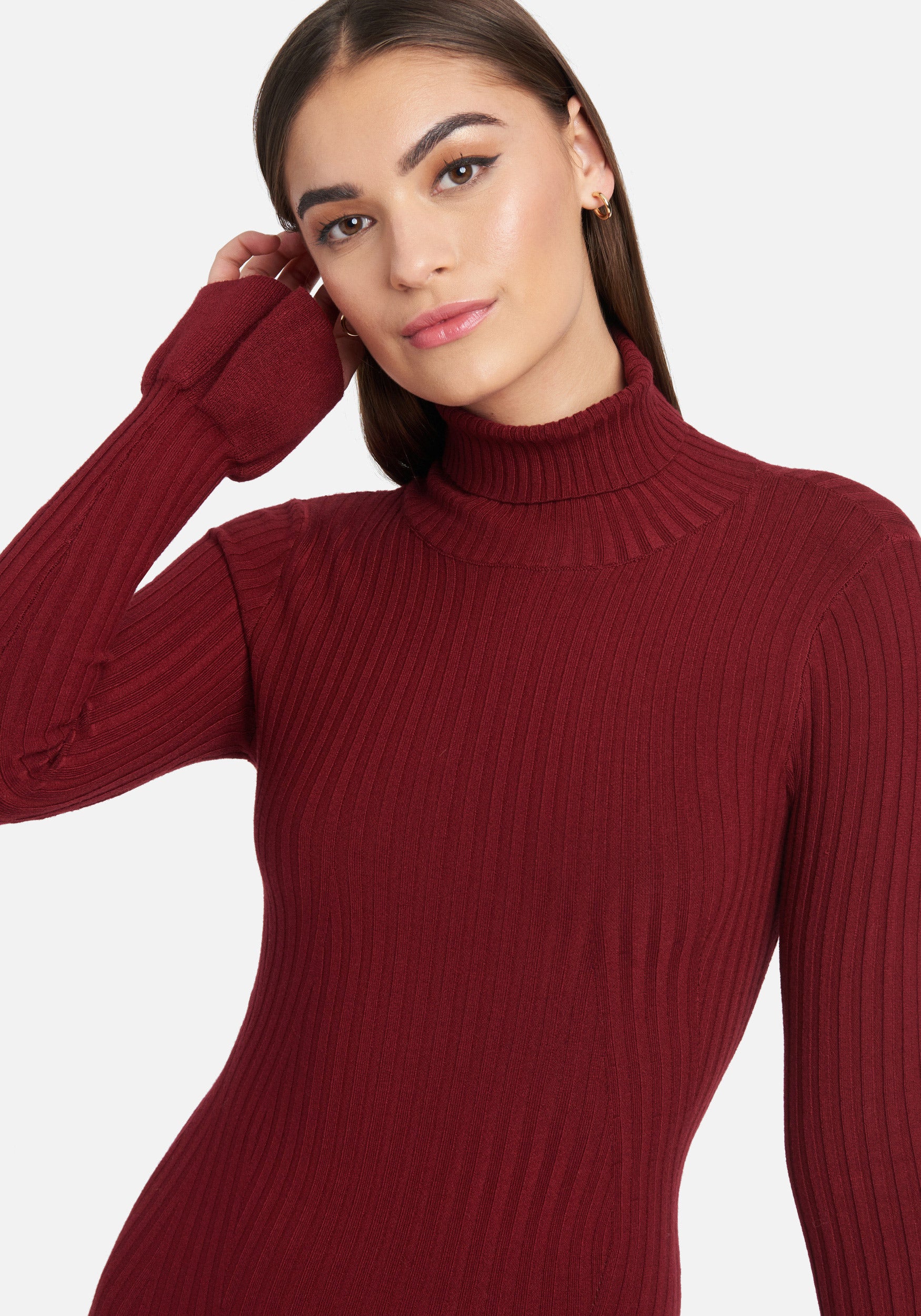 Bell Sleeve Turtleneck Midi Dress