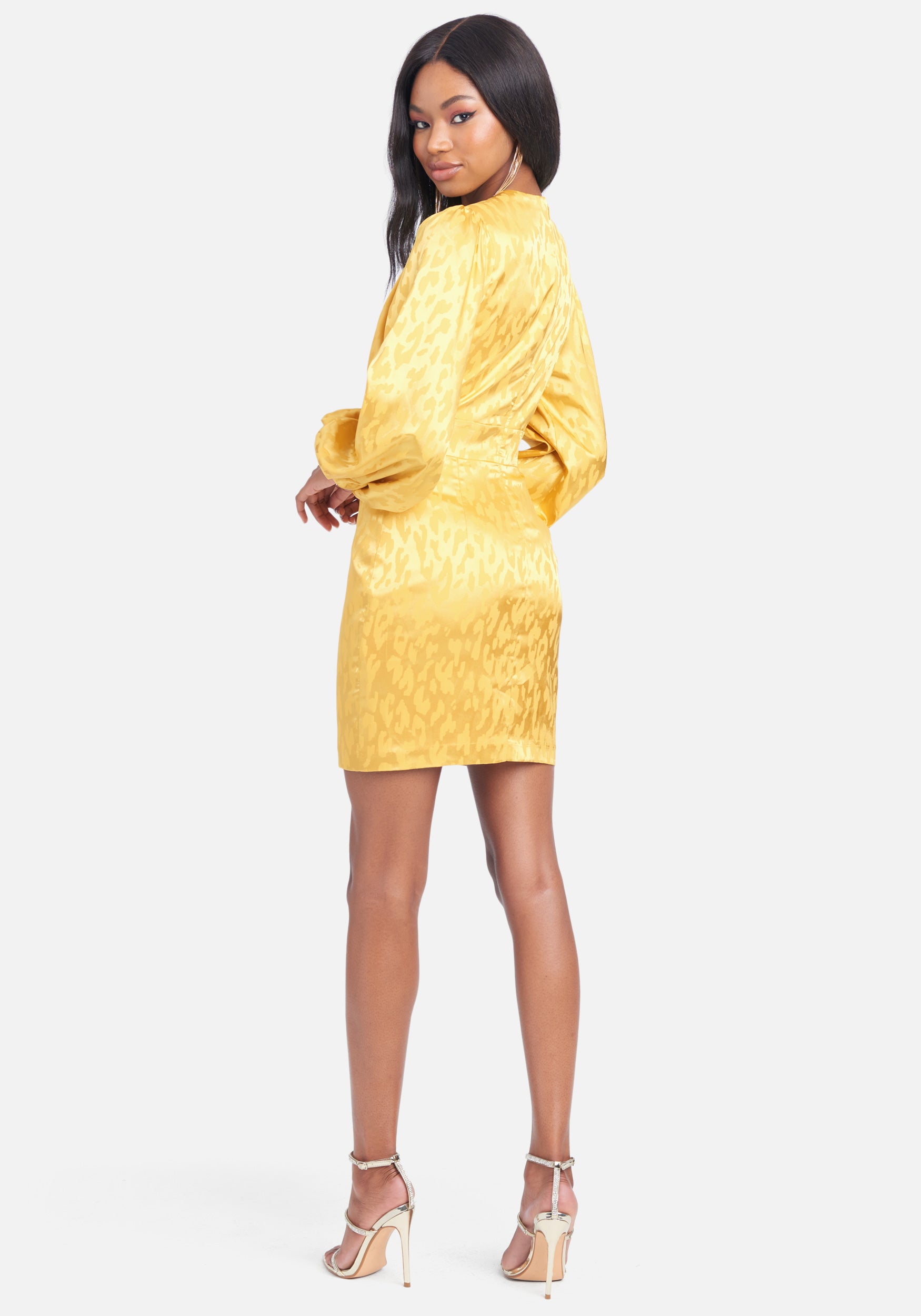 Balloon Sleeve Jacquard Dress