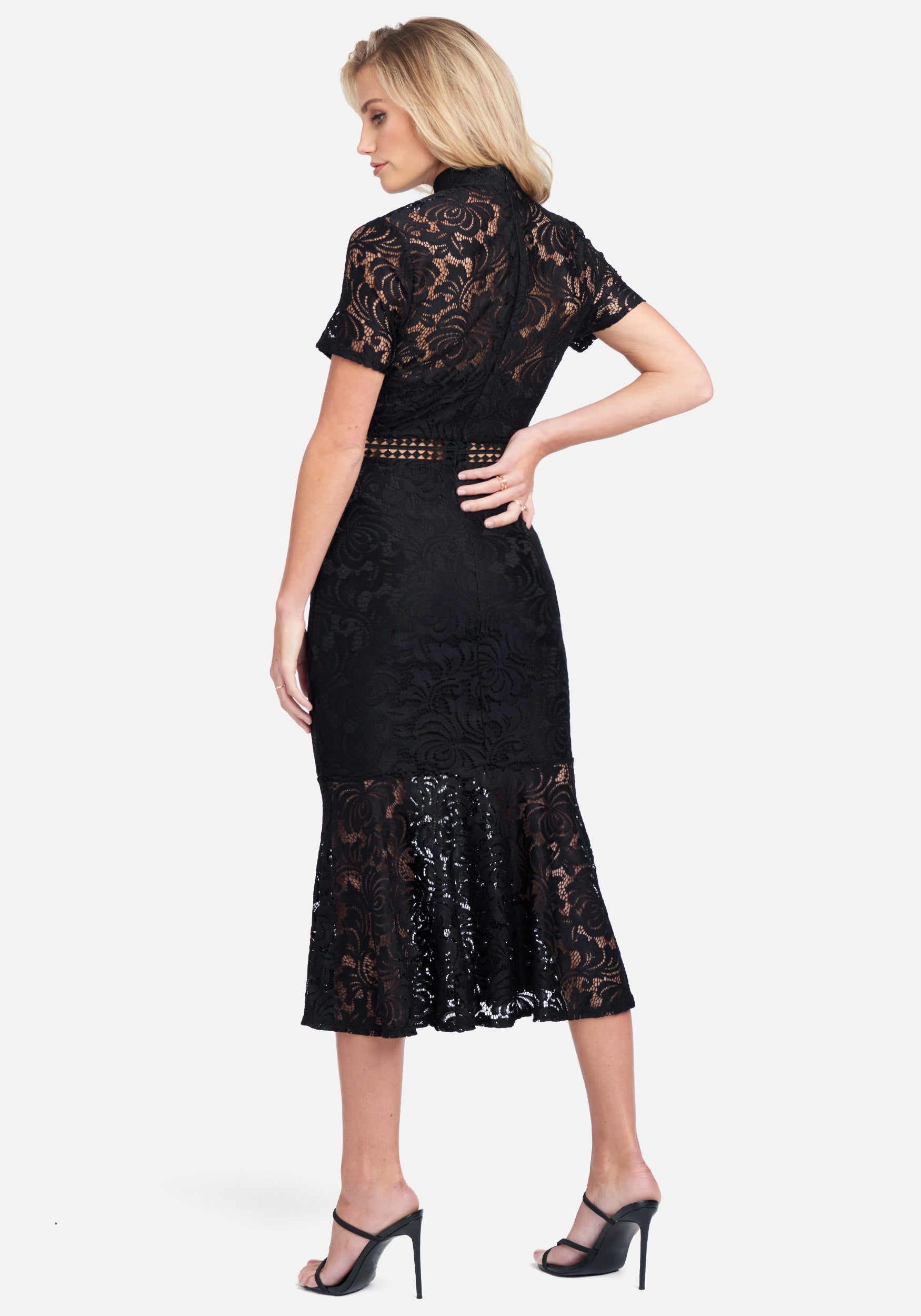 Lace Flare Skirt Dress