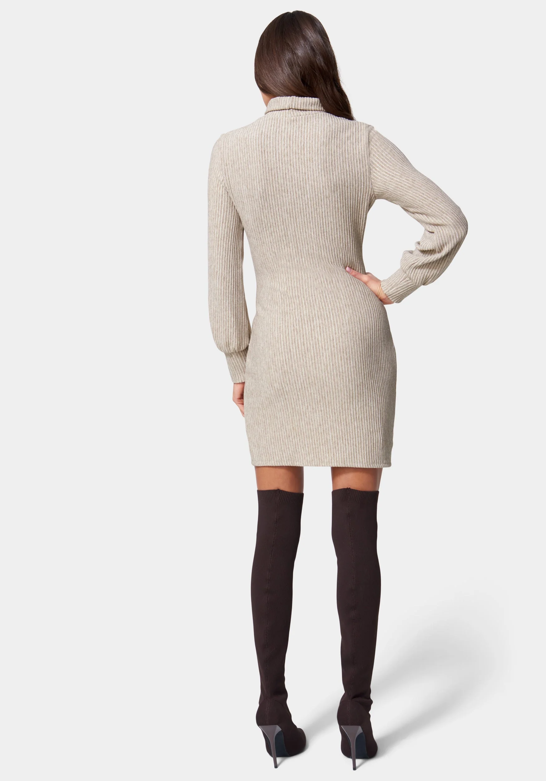 Turtle Neck Sweater Dress
