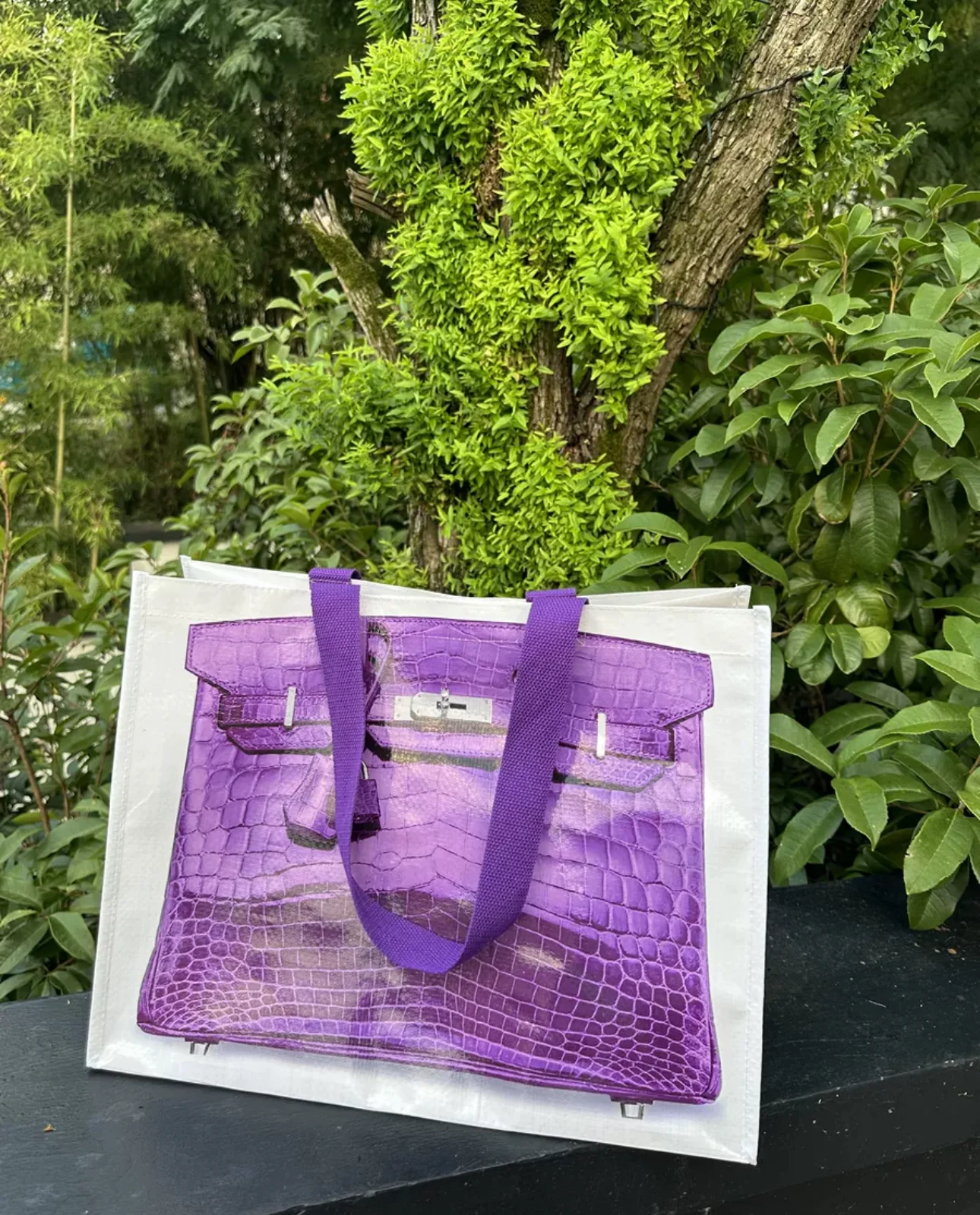 INS blogger spoofs creative grocery bag platinum bag replica casual bag