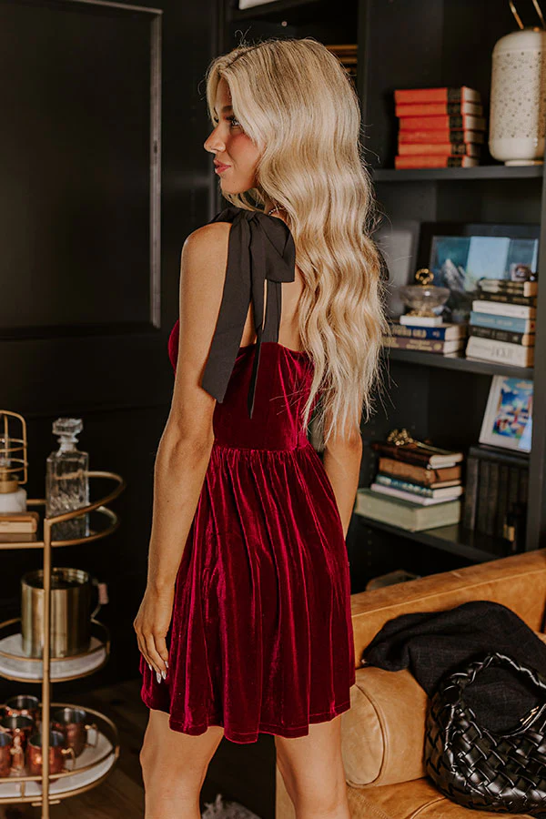 Let's Have A Toast Velvet Mini Dress in Wine