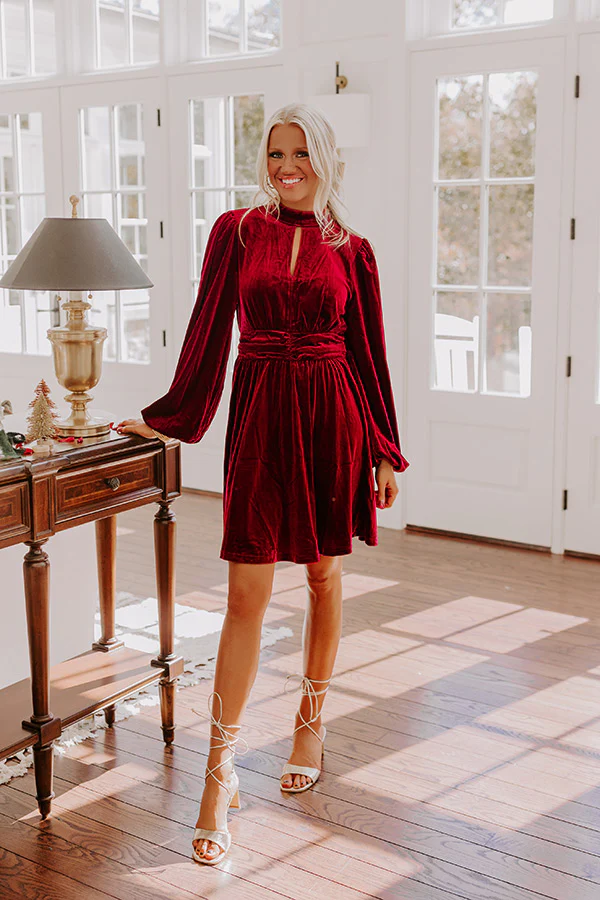 Holiday Social Velvet Mini Dress in Wine
