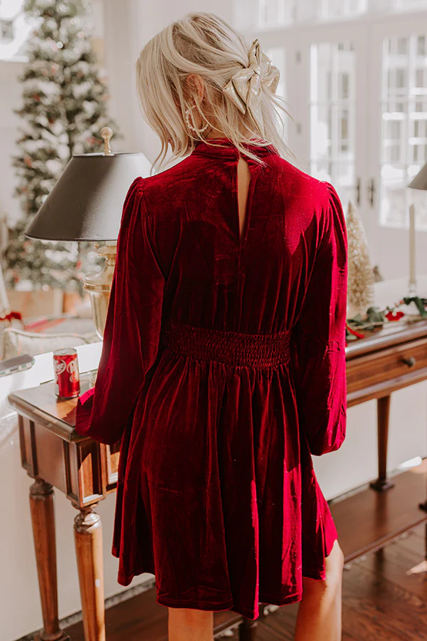 Holiday Social Velvet Mini Dress in Wine