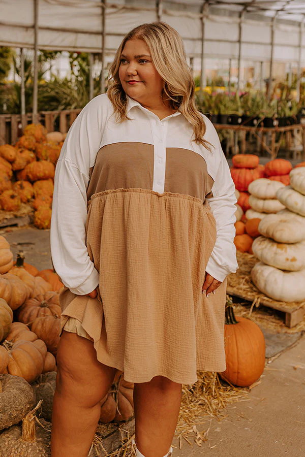 Maple Moments Color Block Mini Dress Curves