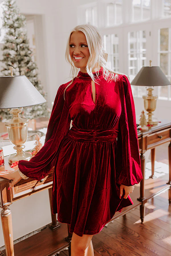 Holiday Social Velvet Mini Dress in Wine