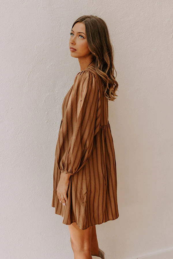 Vermont Stroll Stripe Mini Dress in Mocha
