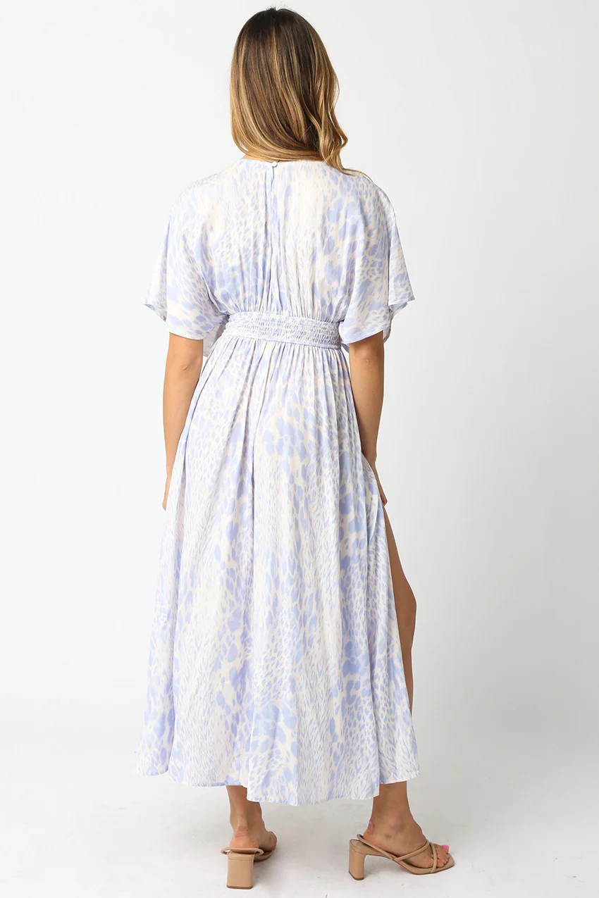 Melissa Blue Animal Print Maxi Dress