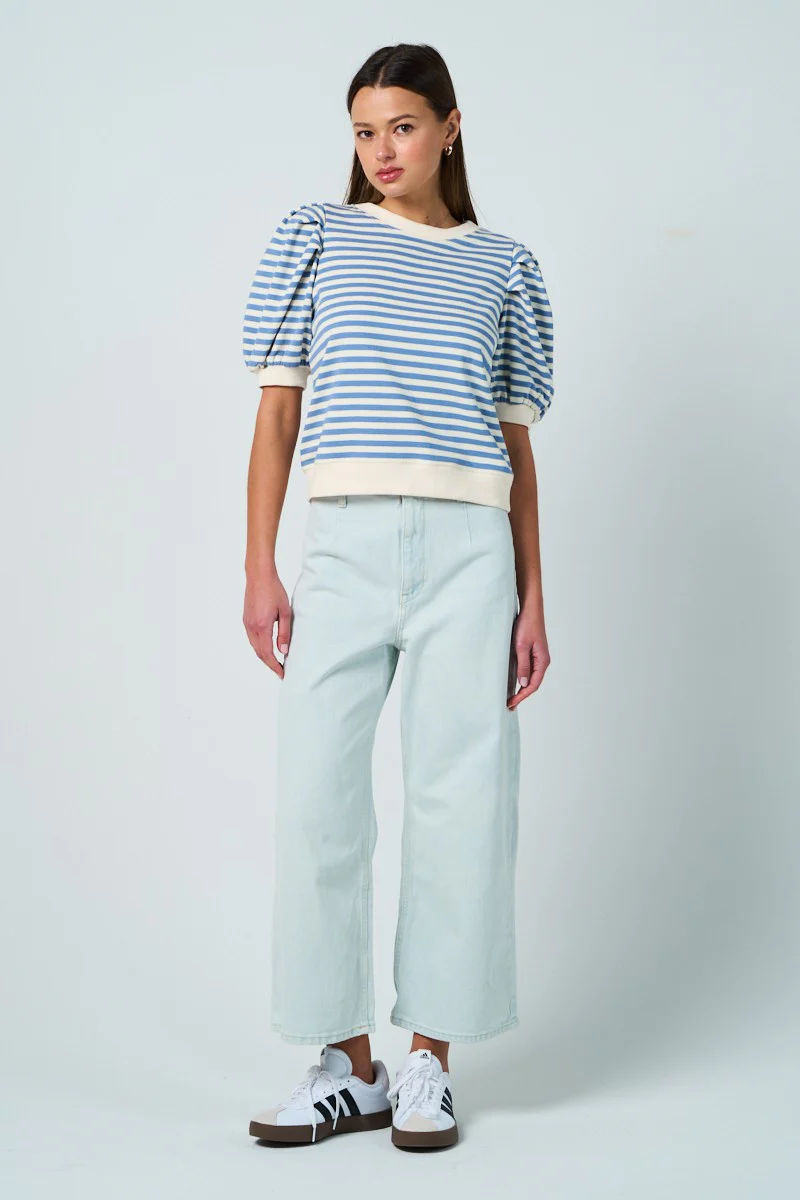 Jen Puff Sleeve Striped Top in Light Blue