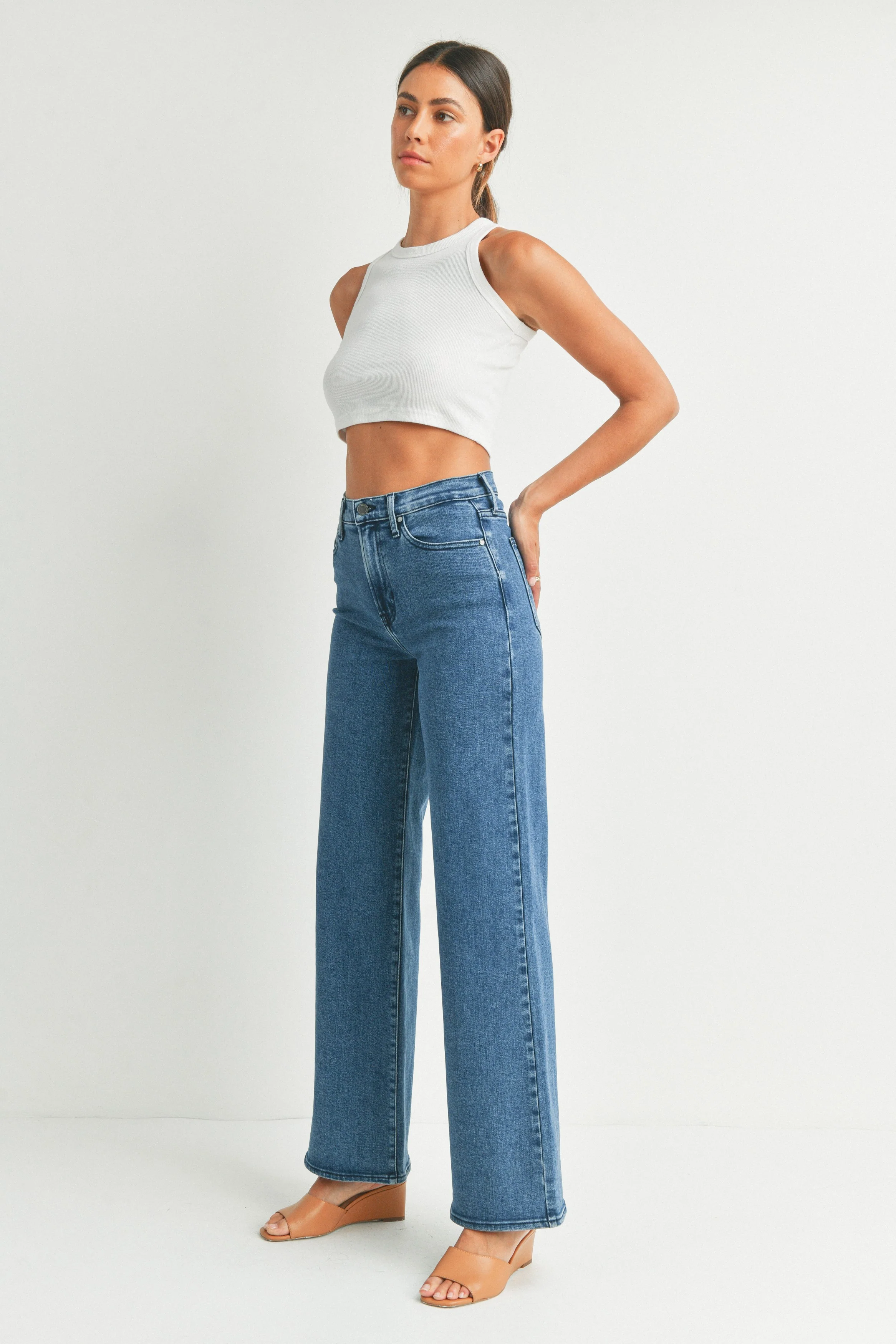 Delaney Wide Leg Palazzo Jean Medium Denim