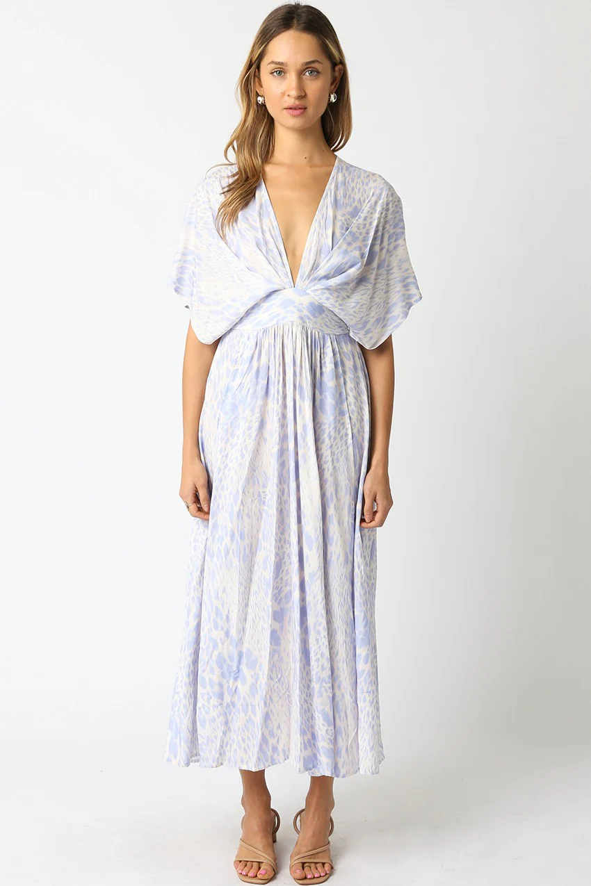 Melissa Blue Animal Print Maxi Dress