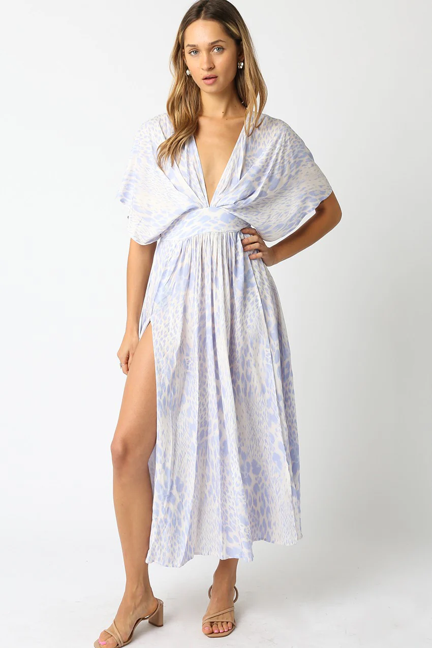 Melissa Blue Animal Print Maxi Dress