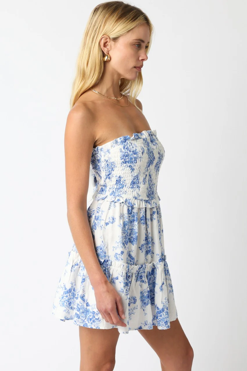Blue Skies Floral Mini Dress