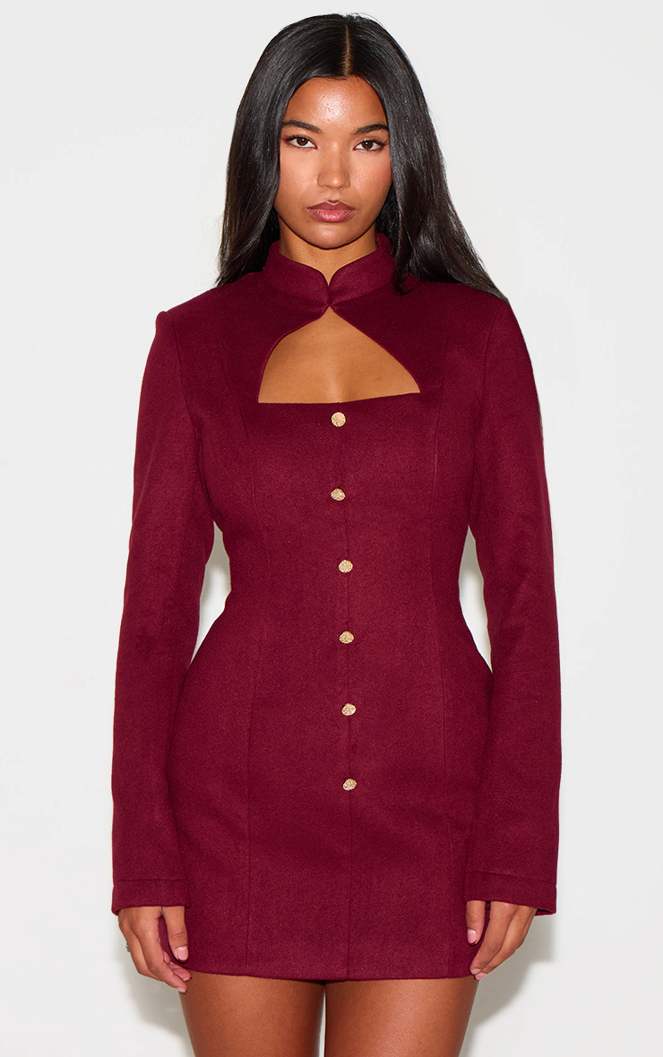 Burgundy Brushed Woven Long Sleeve Button Detail Mini Dress