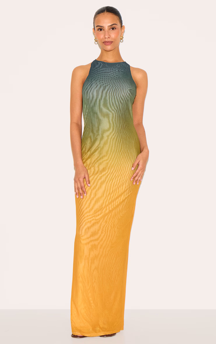 Petite Multi Ombre Lined Mesh Trim Detail Maxi Dress