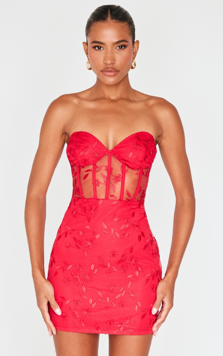 Cherry Red Floral Mesh Overlay Corset Mini Dress