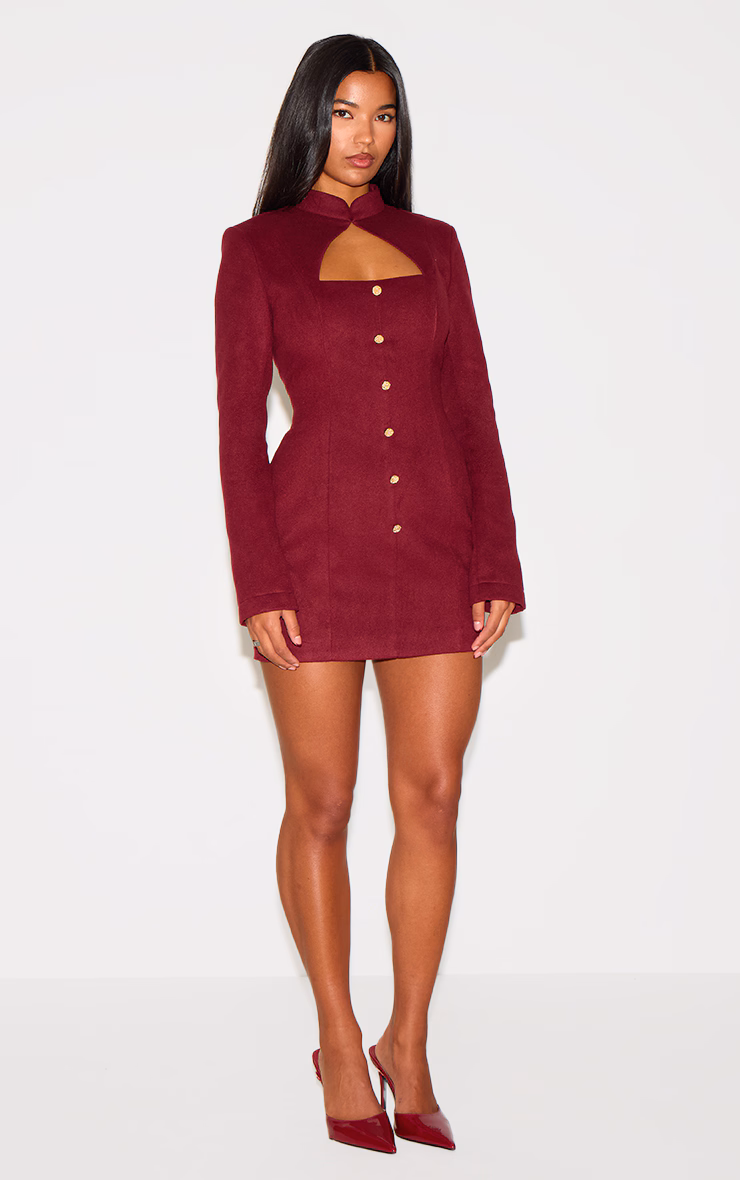 Burgundy Brushed Woven Long Sleeve Button Detail Mini Dress