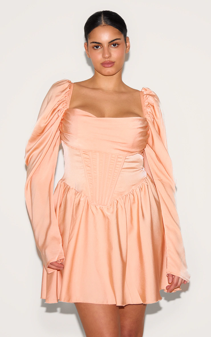 Plus Blush Satin Corset Detail Puffball Shift Dress