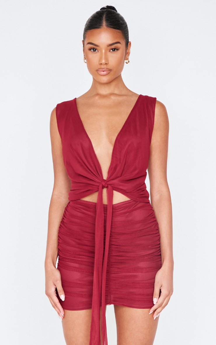 Burgundy Mesh Plunge Knot Detail Mini Dress