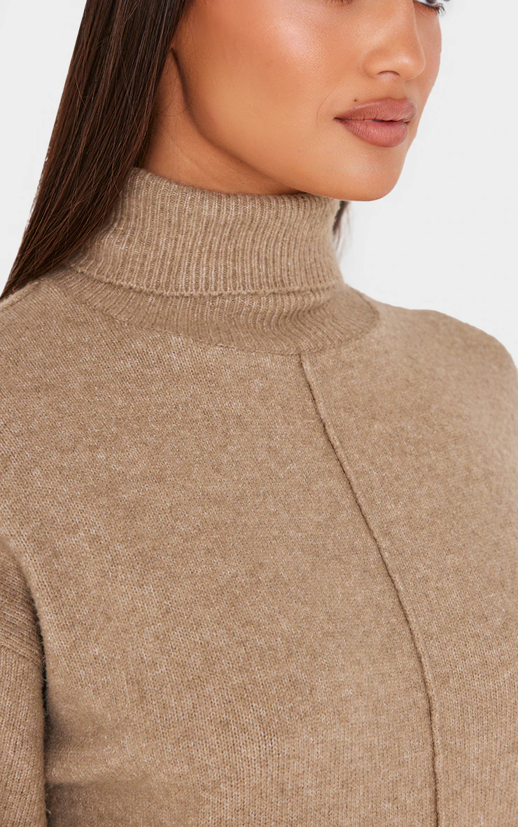 Light Mocha Soft Knit Roll Neck Oversized Seam Detail Sweater Dress