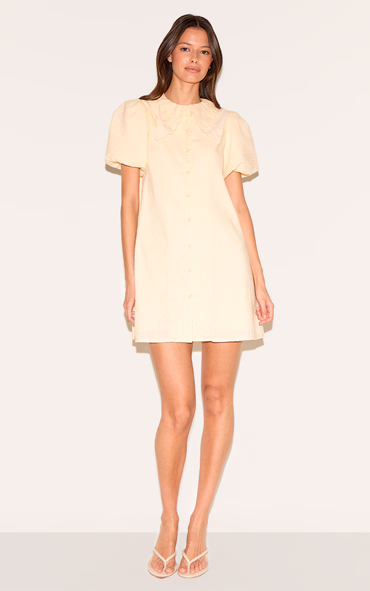 Almond Embroidered Cotton Lace Trim Puff Sleeve Shirt Dress