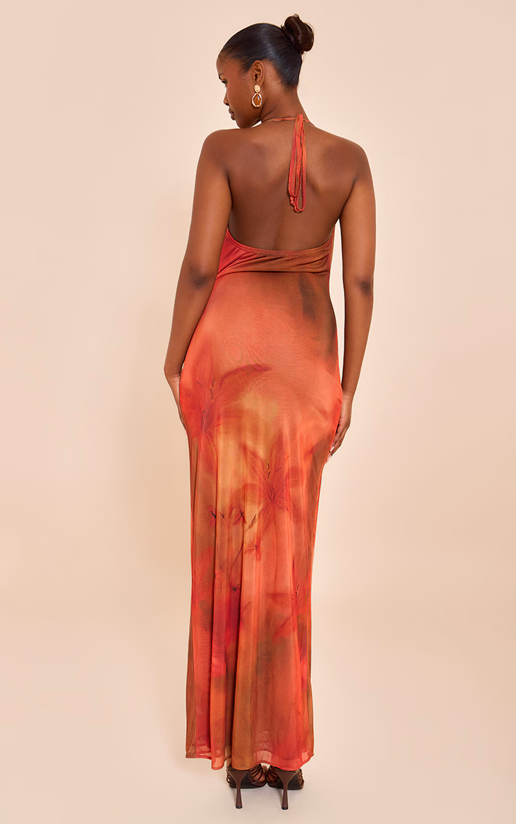 Red Floral Print Halter Neck Plunge Maxi Dress
