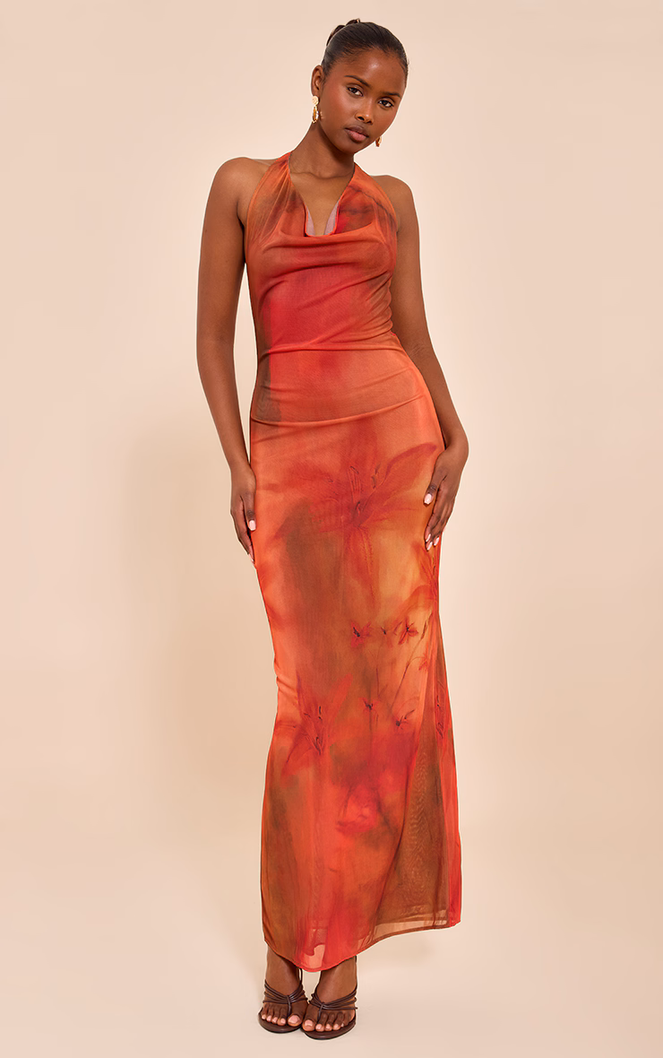 Red Floral Print Halter Neck Plunge Maxi Dress