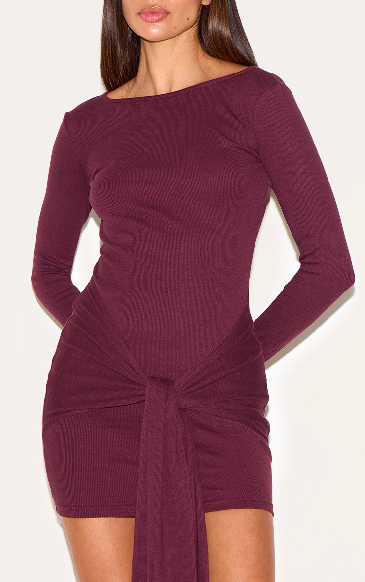 Plum Boat Neck Wrap Mini Dress