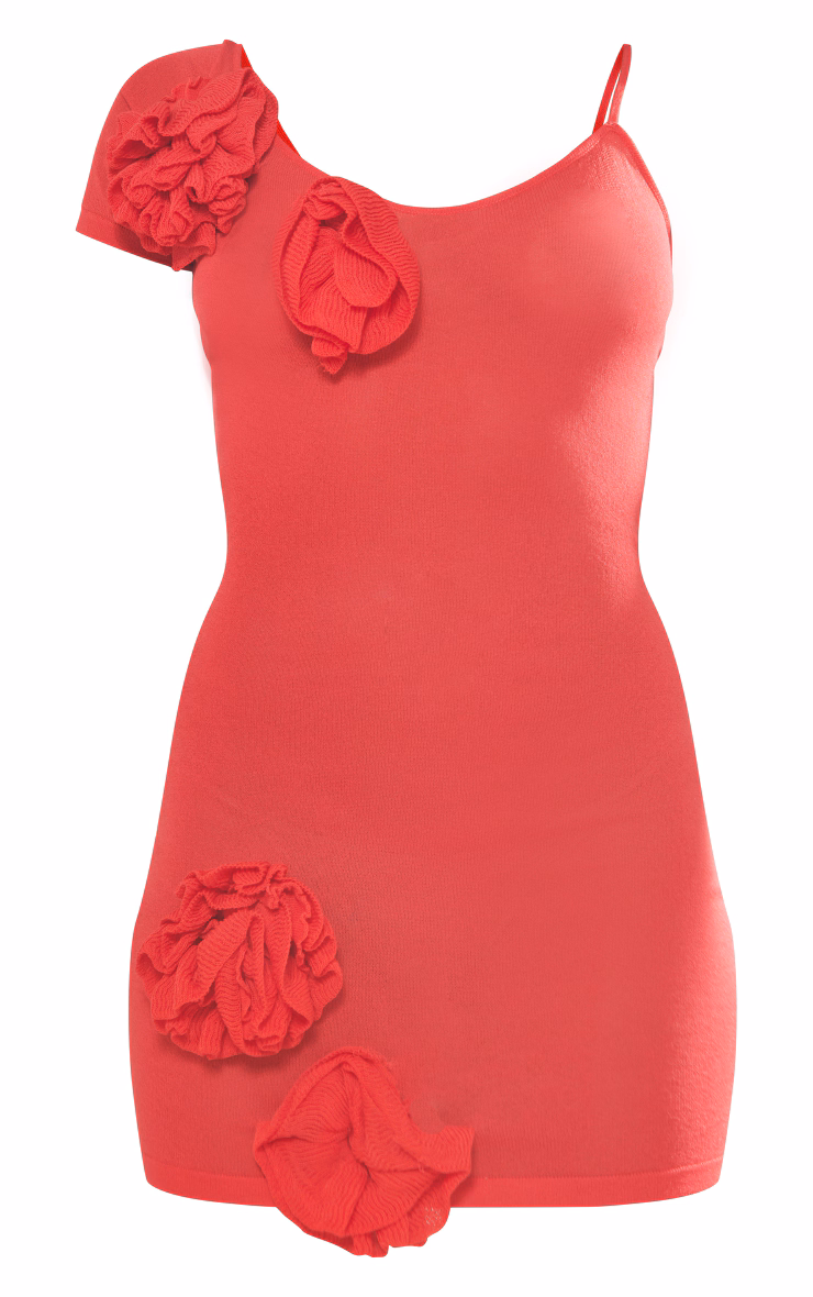 Red Sheer Knit Flower Embellished Dress